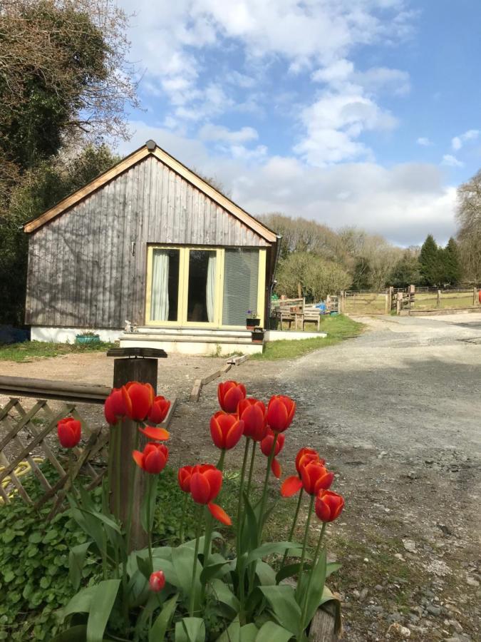 Oak Lodge Tavistock  Kültér fotó